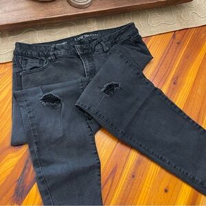 Lane Bryant Black Distressed Jeans